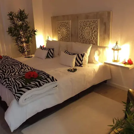 Plaza San Marcos Casco Hstorico Апартаменты Икод-де-лос-Винос