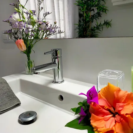 Апартаменты Plaza San Marcos Casco Hstorico Икод-де-лос-Винос