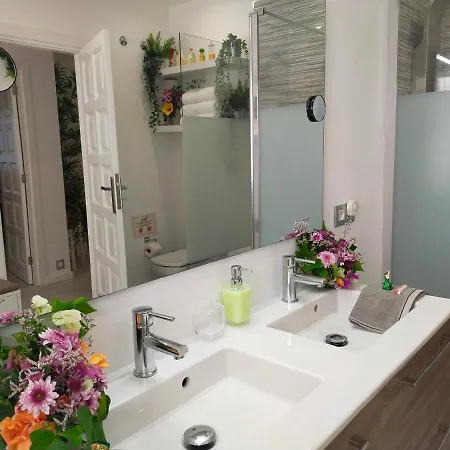 Plaza San Marcos Casco Hstorico Апартаменты *