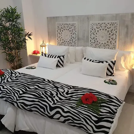 Plaza San Marcos Casco Hstorico Con Parking Апартаменты Икод-де-лос-Винос